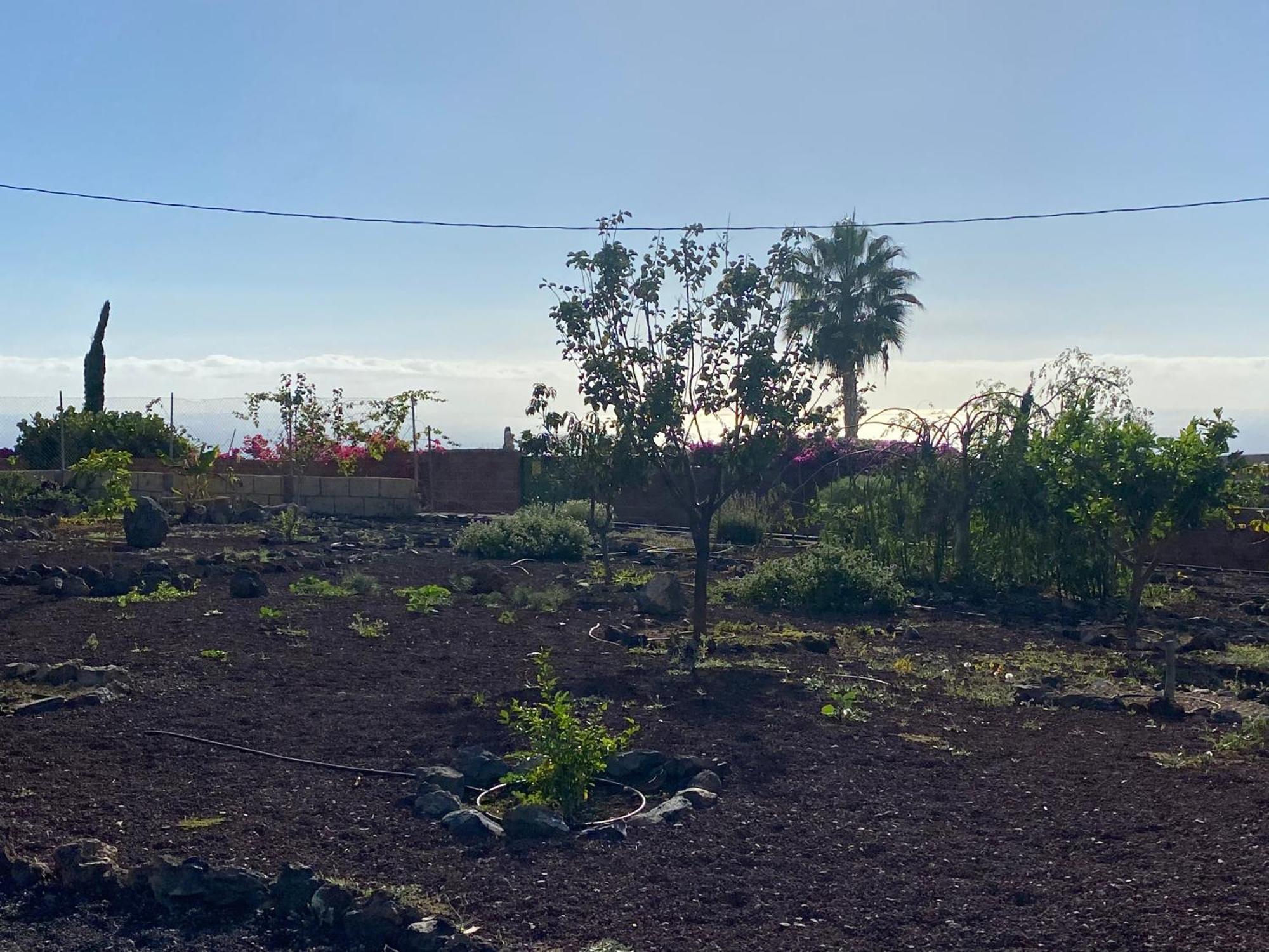 Finca Arcoiris Tenerife Vv 기아데이소라 외부 사진